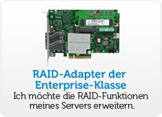 Enterprise RAID Adapters 